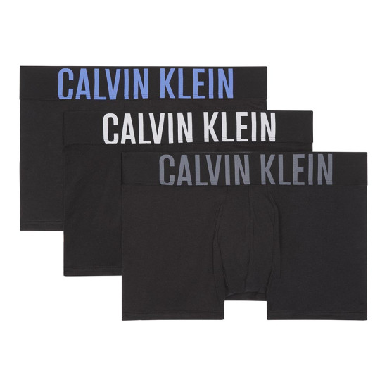Calvin Klein Ανδρικό εσώρουχο Intense Power-3 Pack Trunks